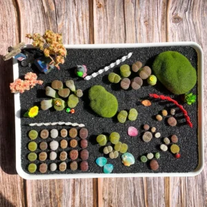 Lithops DIY Large Random Mix - Rare Live Succulents Bare Root