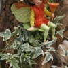 Mini Easter English Ivy - 2.5" Pot - Variegated Fairy Garden Plant